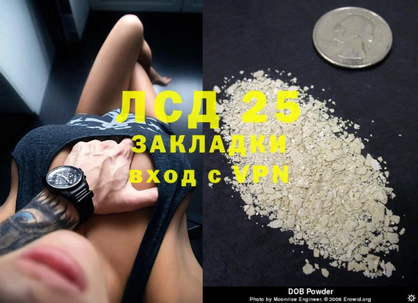 гидра Алексин