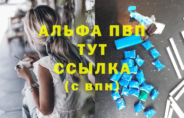 гидра Алексин