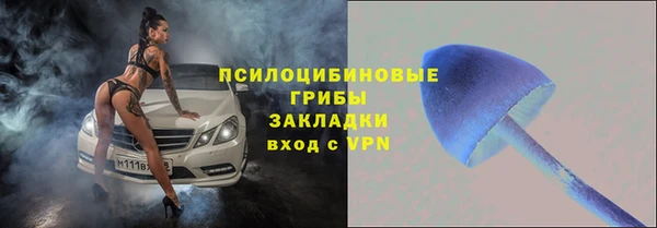 гидра Алексин