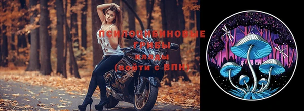герыч Алзамай