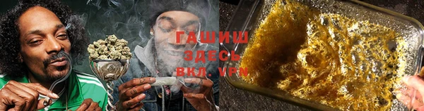 гидра Алексин