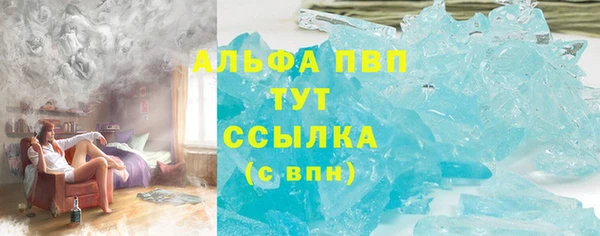гидра Алексин