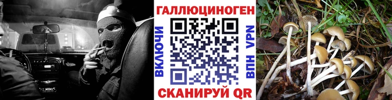 Псилоцибиновые грибы ЛСД  цена   Луза 